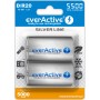 Įkraunama baterija everActive Ni-MH 5500 mAh R20 D (2 vnt.)