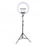 LED Ring Lamp 45cm With Desktop Tripod Mount Up To 2.1m