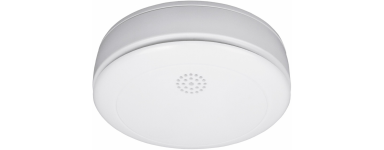 Autonomous detectors | Techsauga.lt